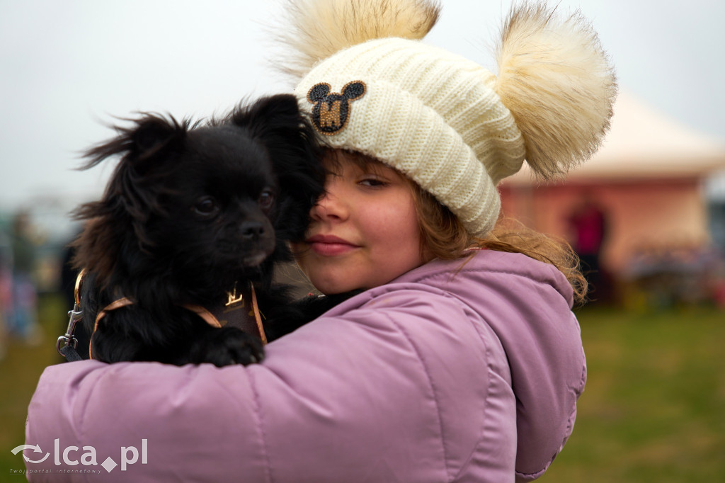 V Jarmark w Bartoszowie przyciągnął tłumy