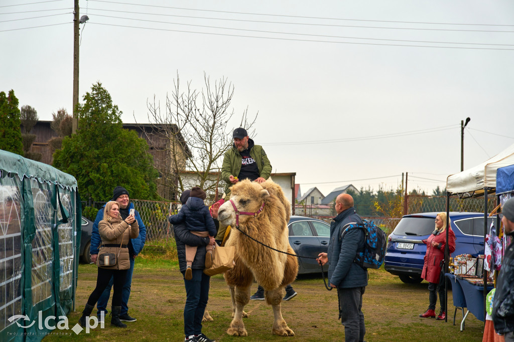 V Jarmark w Bartoszowie przyciągnął tłumy