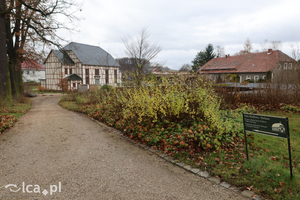 Trzy wieki historii w Pałacu Łomnica