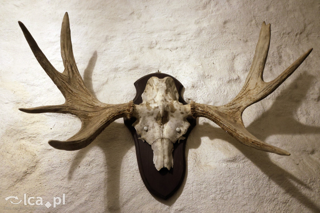 Trzy wieki historii w Pałacu Łomnica