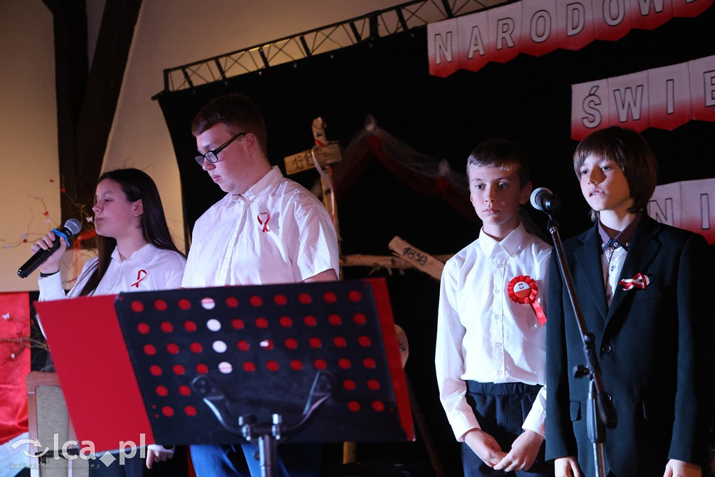 Biało-czerwony tort na Święto Niepodległości