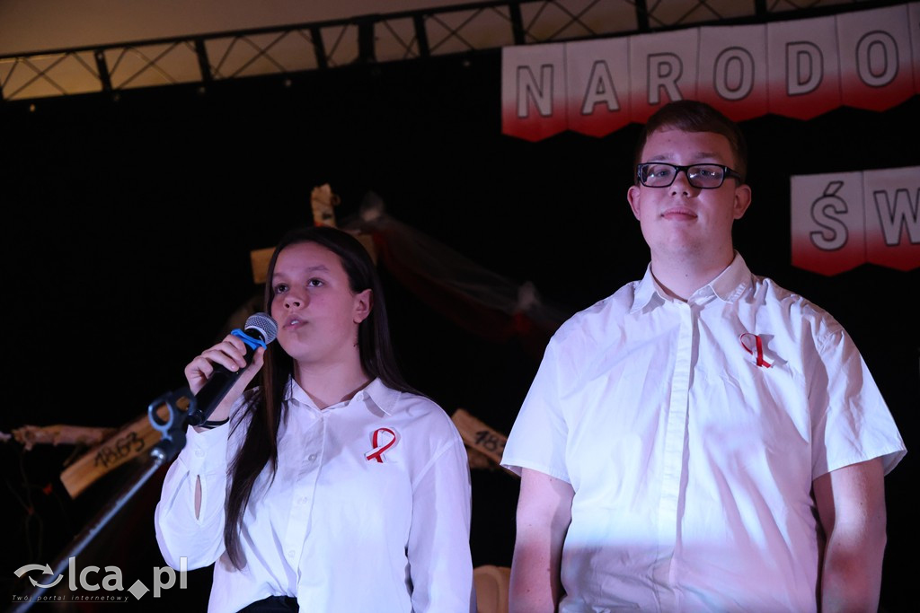 Biało-czerwony tort na Święto Niepodległości