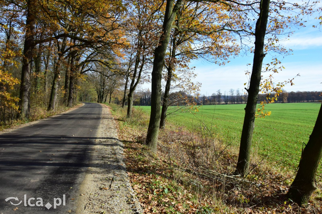 Kolejna ważna inwestycja w powiecie legnickim