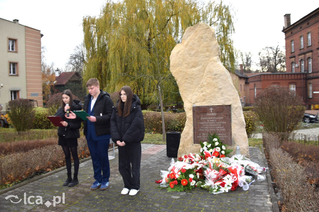 Ważne akcenty Tygodnia Patriotyzmu w Chojnowie