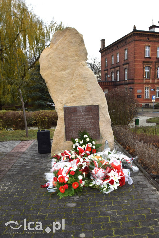 Ważne akcenty Tygodnia Patriotyzmu w Chojnowie