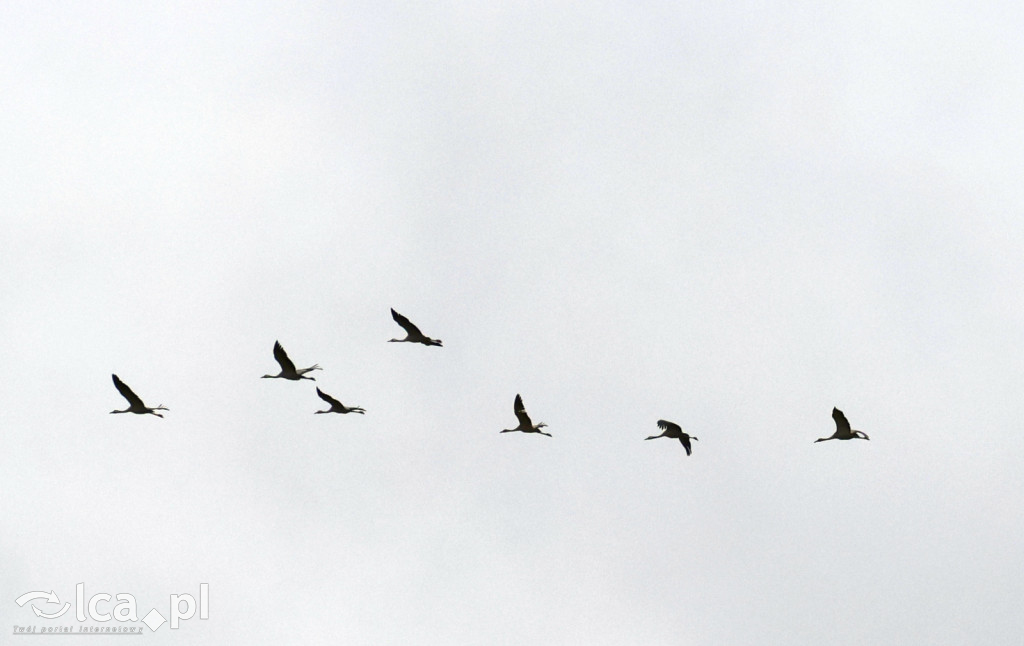 Jaworzanka triumfuje w doliczonym czasie