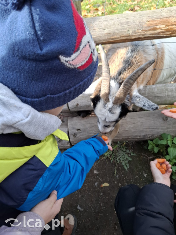 Zobaczcie jak żyją dzieciaki z Golanki Dolnej