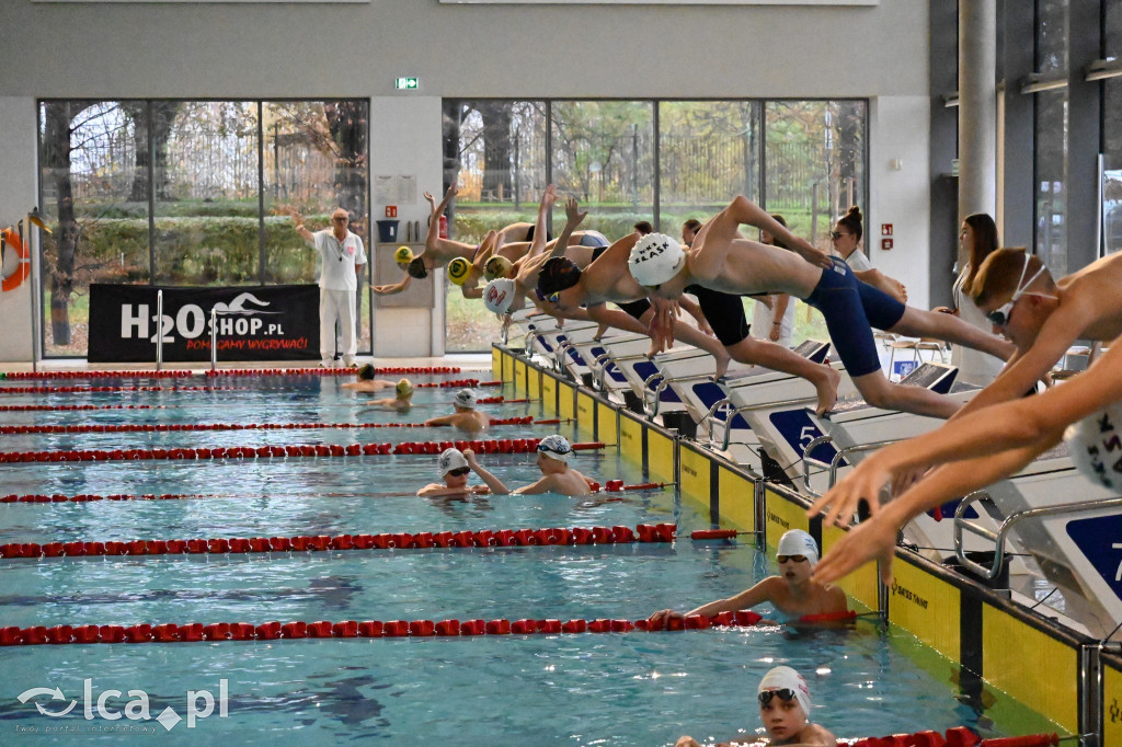 UKS Delfinek Legnica z medalami!