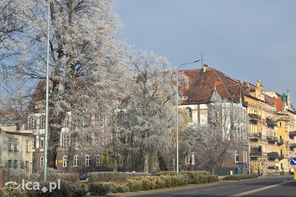 Pierwsze oznaki zimy w Legnicy