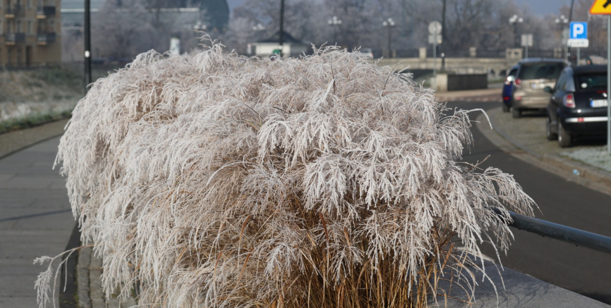 Szadź nad jeziorem i na brzegach Kaczawy