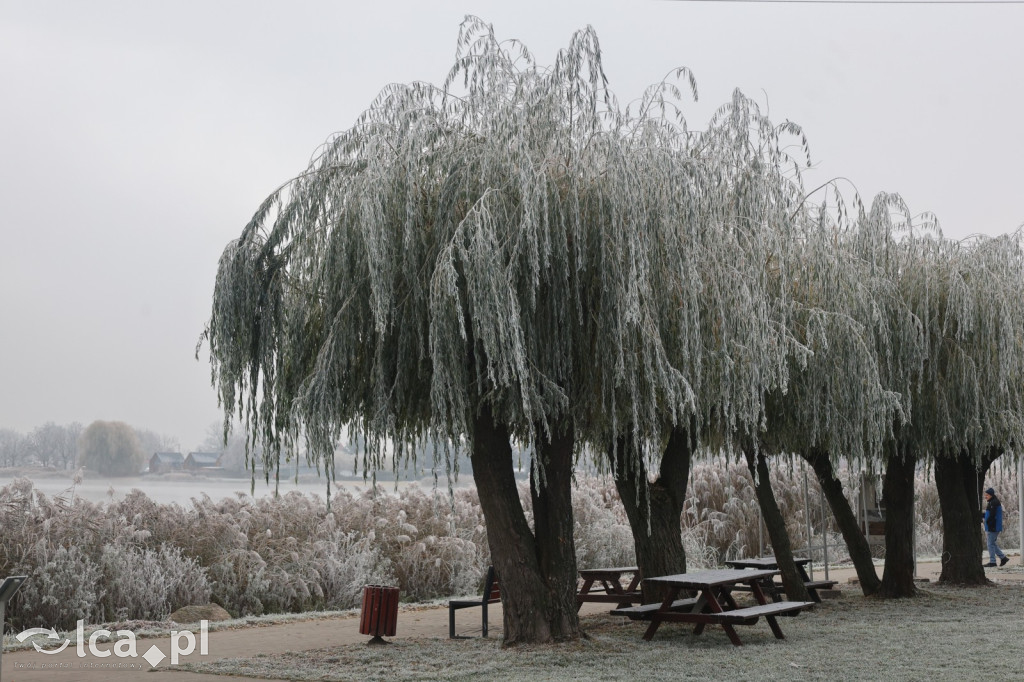 Szadź nad jeziorem i na brzegach Kaczawy