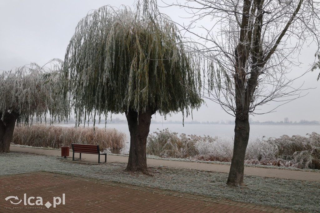 Szadź nad jeziorem i na brzegach Kaczawy