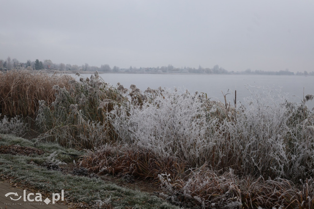 Szadź nad jeziorem i na brzegach Kaczawy