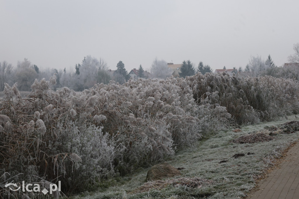 Szadź nad jeziorem i na brzegach Kaczawy