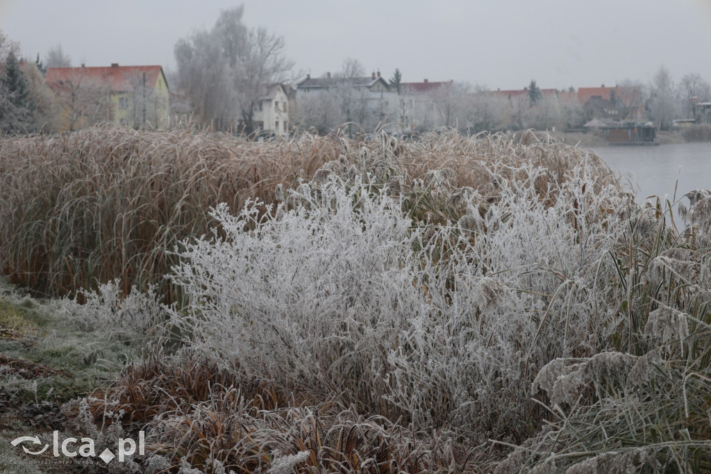 Szadź nad jeziorem i na brzegach Kaczawy