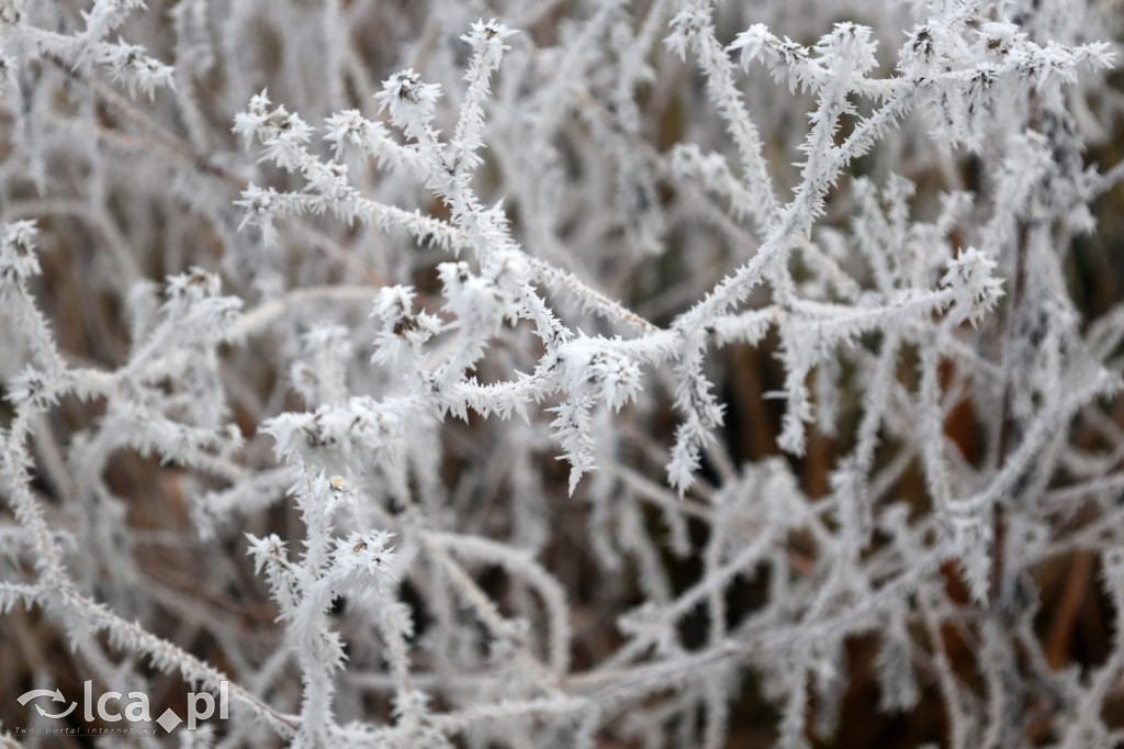 Szadź nad jeziorem i na brzegach Kaczawy