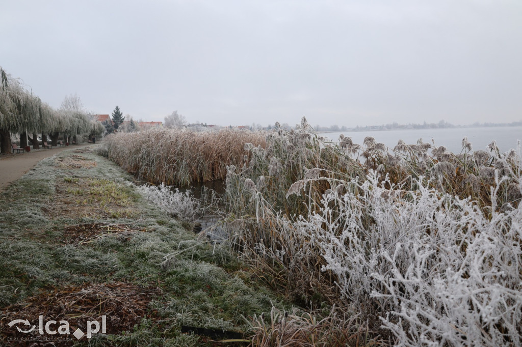Szadź nad jeziorem i na brzegach Kaczawy