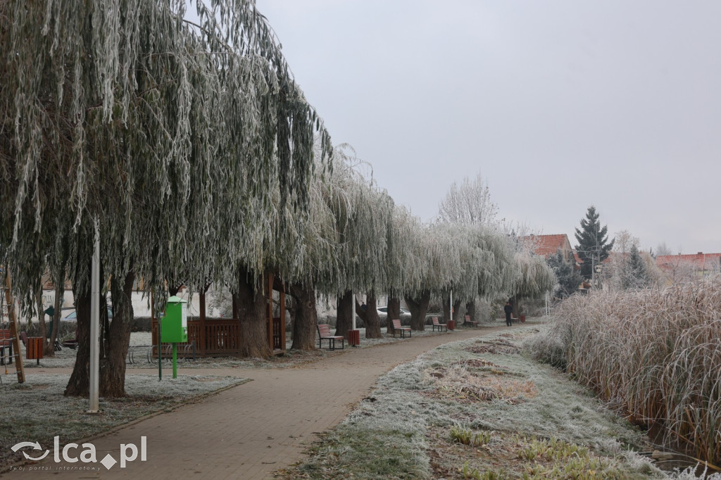 Szadź nad jeziorem i na brzegach Kaczawy