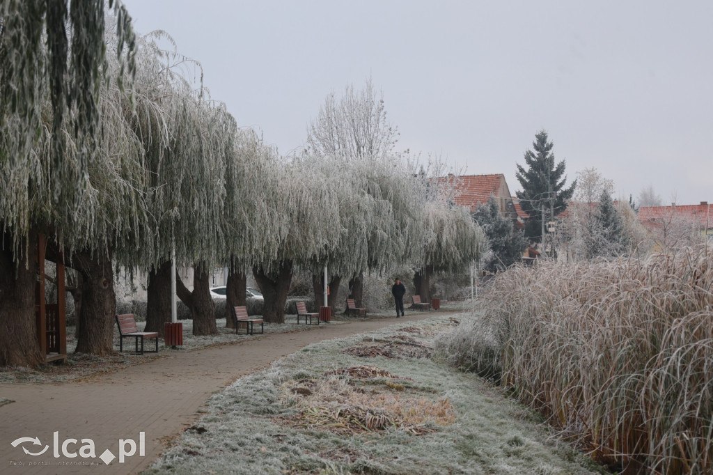 Szadź nad jeziorem i na brzegach Kaczawy