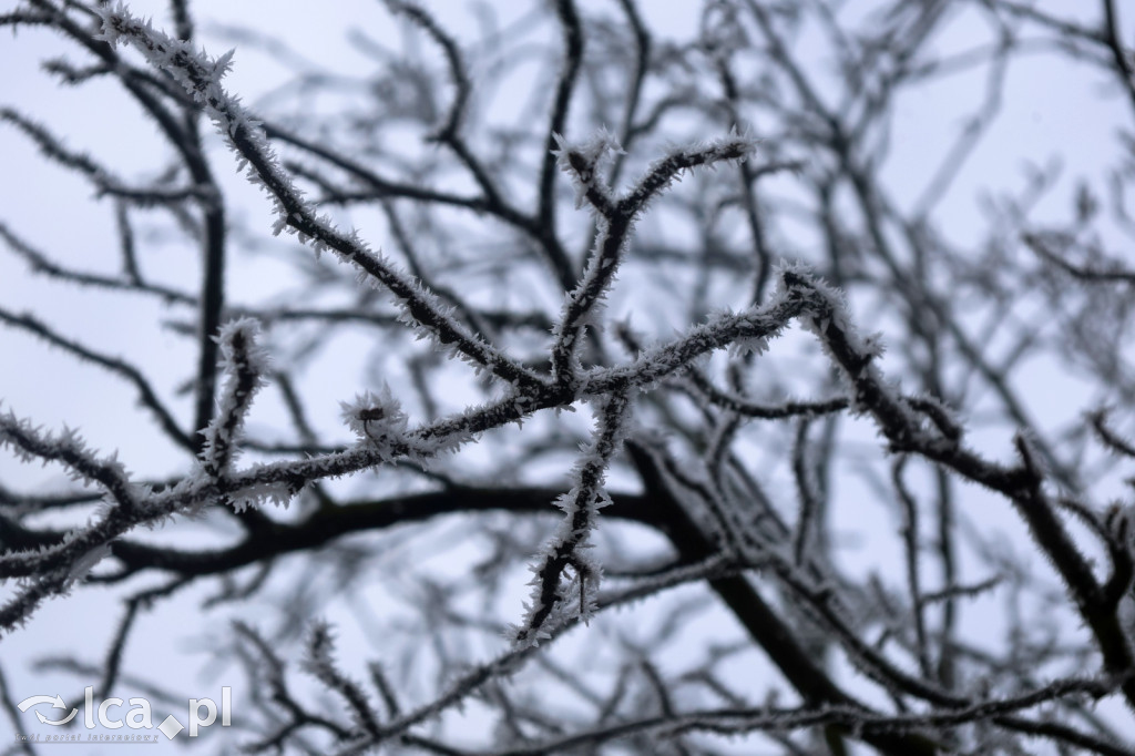 Szadź nad jeziorem i na brzegach Kaczawy