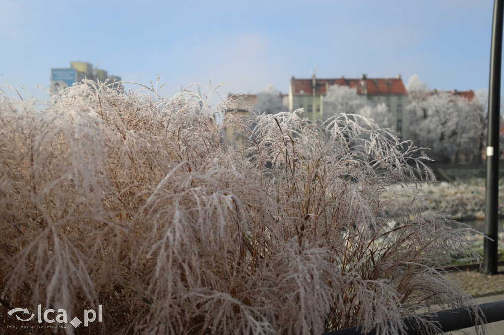 Szadź nad jeziorem i na brzegach Kaczawy