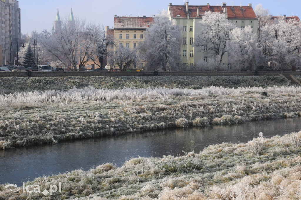 Szadź nad jeziorem i na brzegach Kaczawy