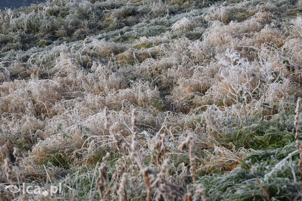 Szadź nad jeziorem i na brzegach Kaczawy