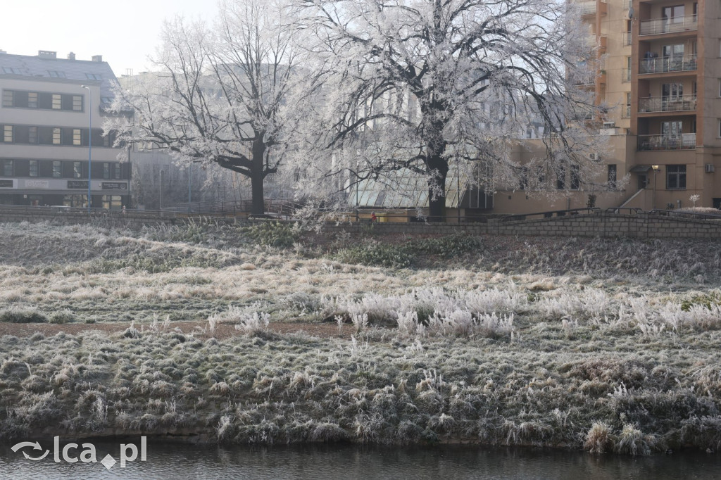 Szadź nad jeziorem i na brzegach Kaczawy