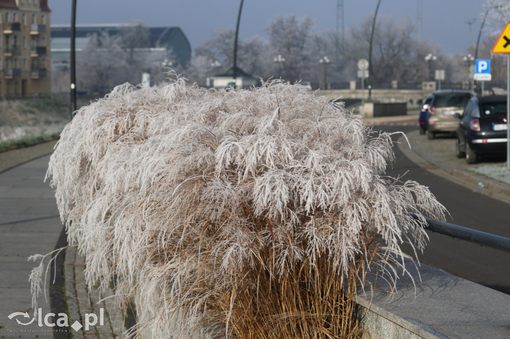 Szadź nad jeziorem i na brzegach Kaczawy