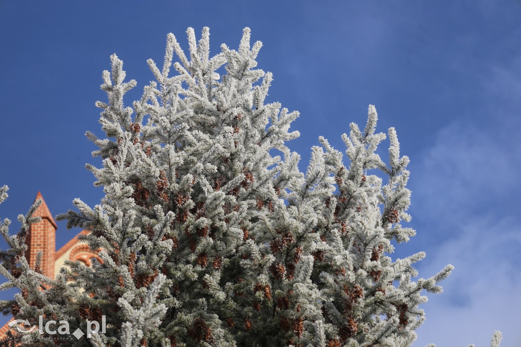 Szadź nad jeziorem i na brzegach Kaczawy