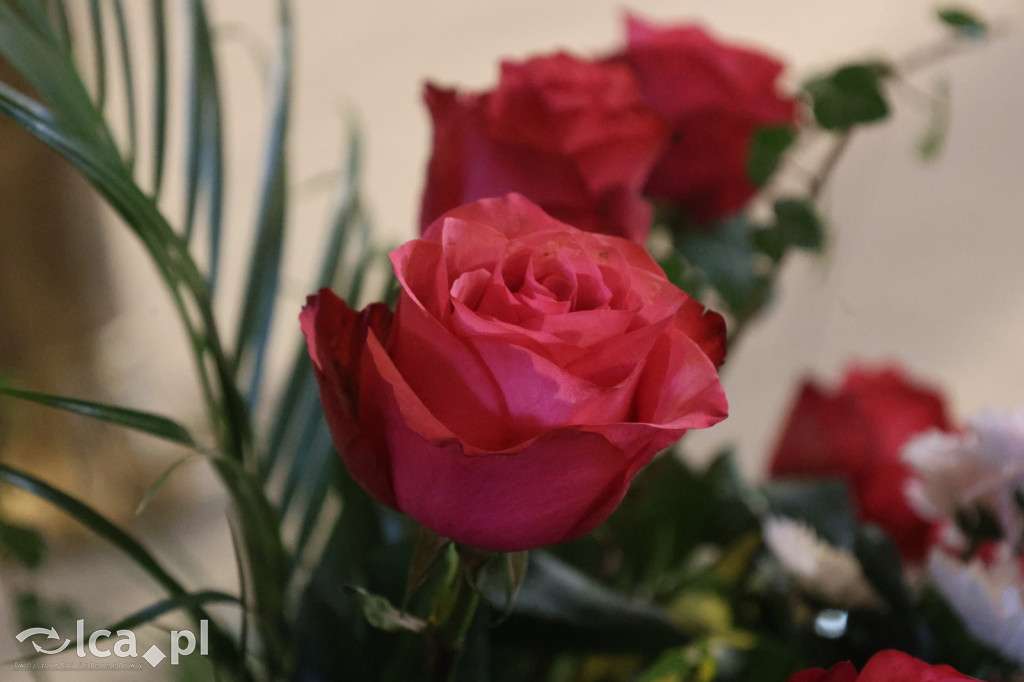 Msza święta kolejarzy w Sanktuarium św. Jacka