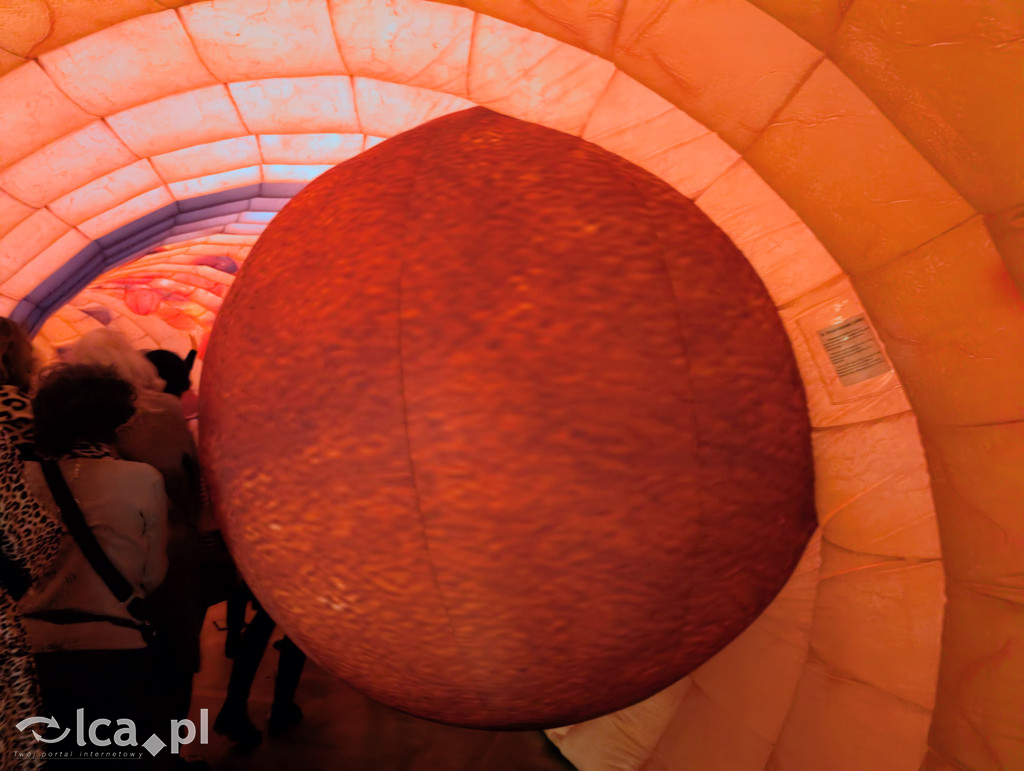 Model 3D jelita i profilaktyka w Centrum Witelona