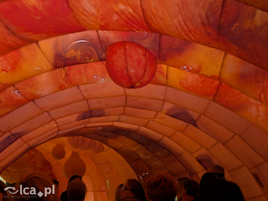 Model 3D jelita i profilaktyka w Centrum Witelona