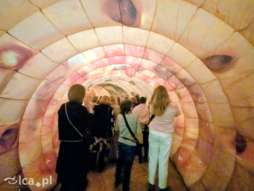 Model 3D jelita i profilaktyka w Centrum Witelona