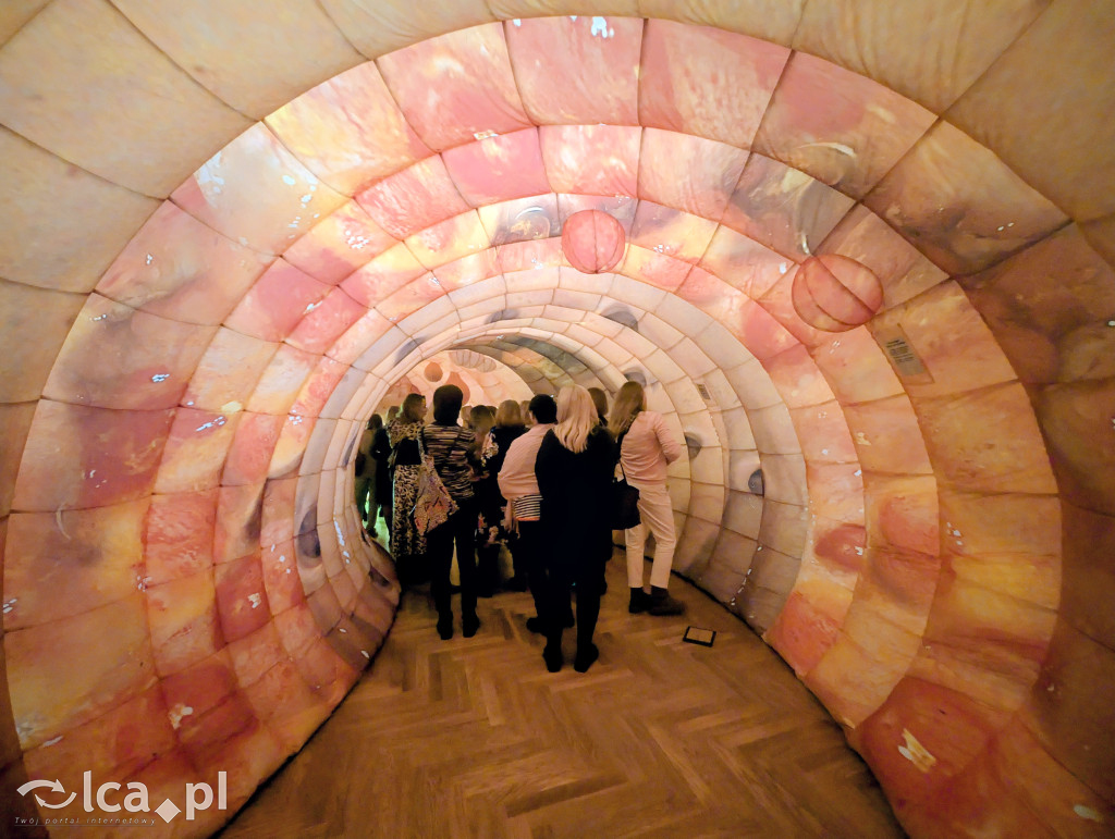 Model 3D jelita i profilaktyka w Centrum Witelona