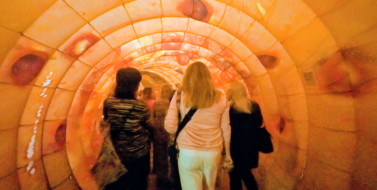 Model 3D jelita i profilaktyka w Centrum Witelona