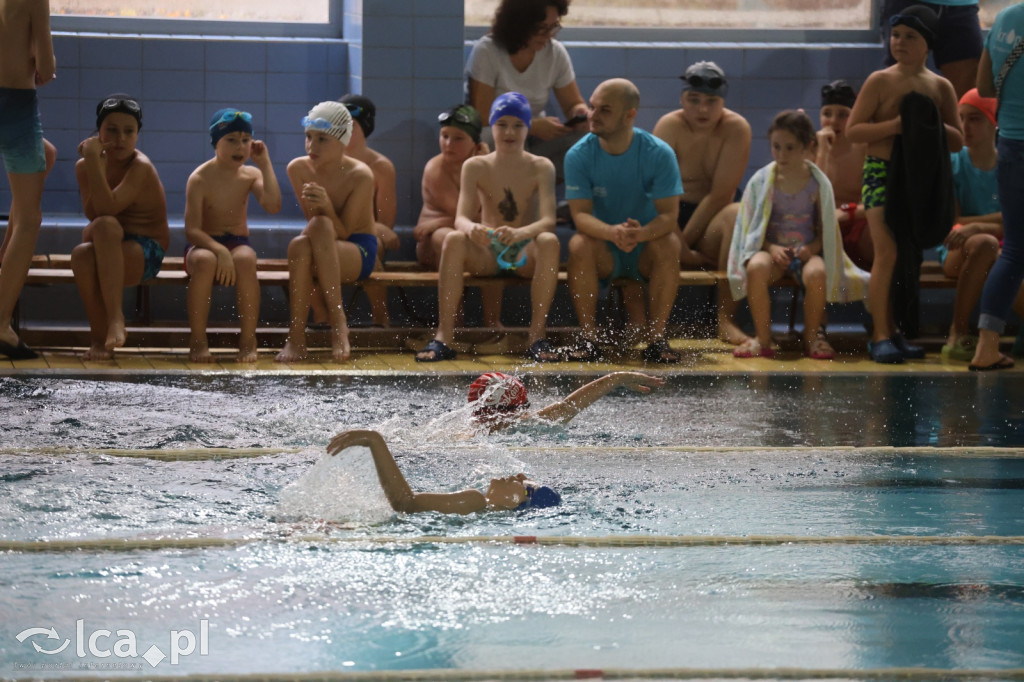 Rodzinny Piknik Pływacki na Delfinku
