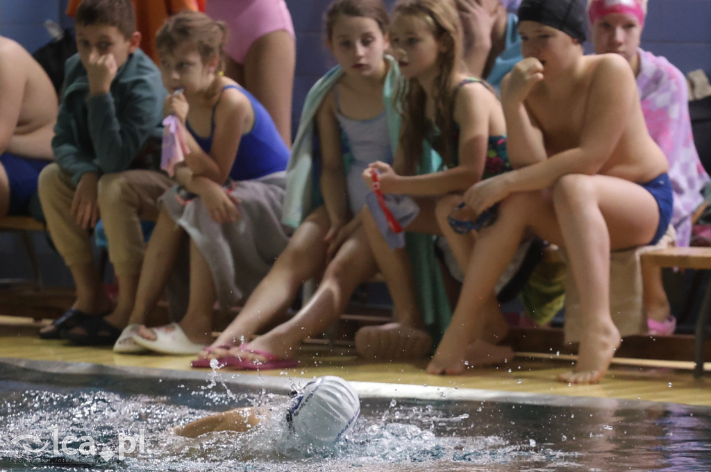 Rodzinny Piknik Pływacki na Delfinku