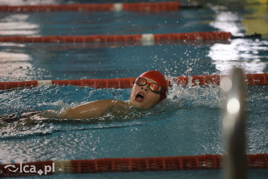Rodzinny Piknik Pływacki na Delfinku