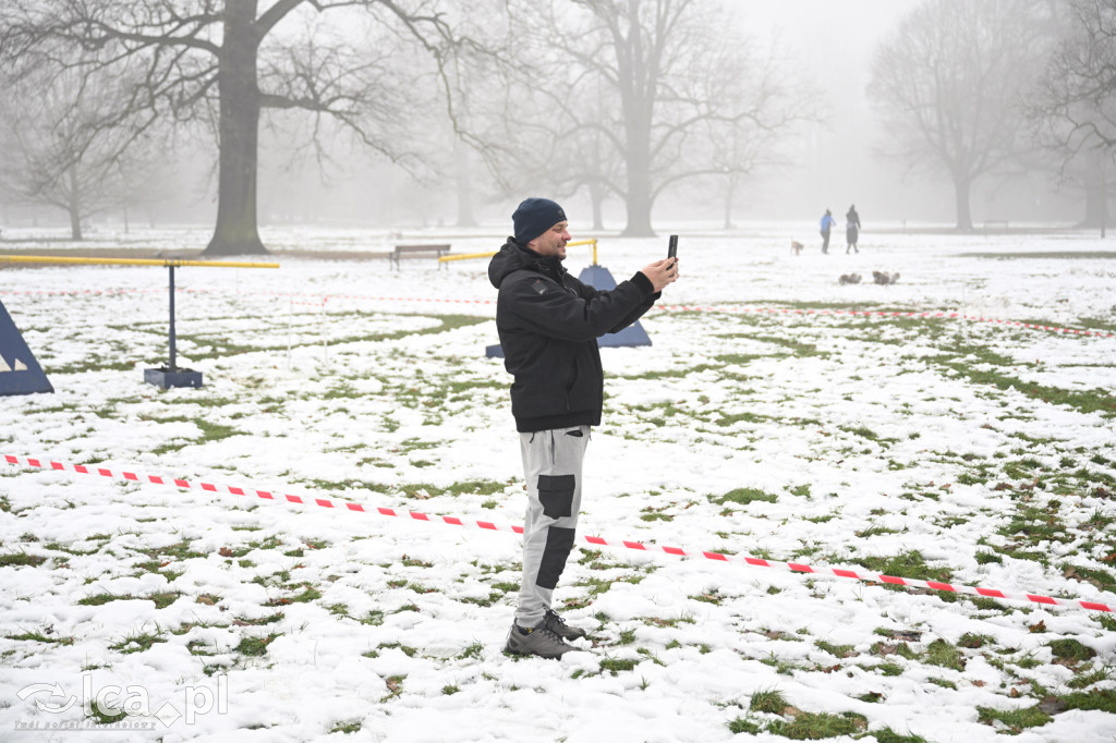 FINAŁ LEGNICA MOVEMBER: MOVE & REMEMBER!