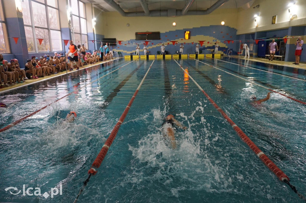 Rodzinny Piknik Pływacki na Delfinku cz.2
