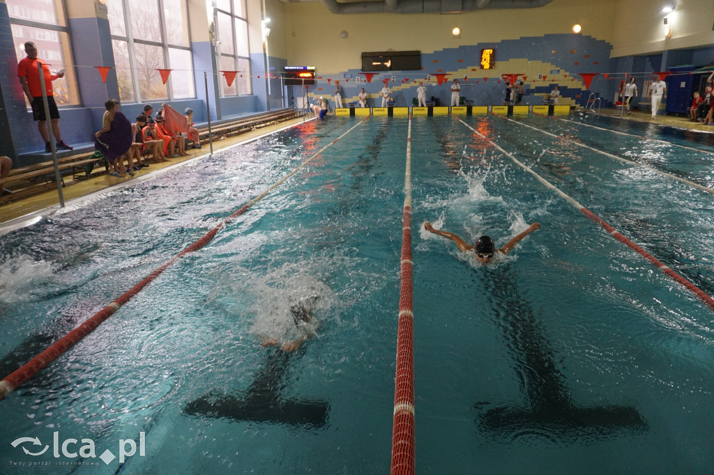 Rodzinny Piknik Pływacki na Delfinku cz.2