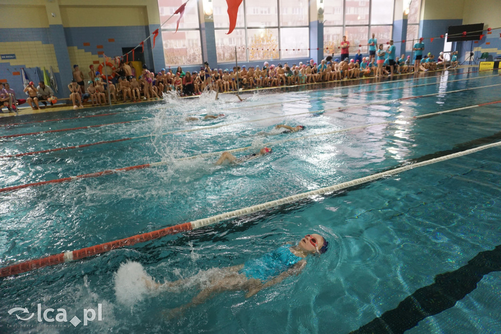 Rodzinny Piknik Pływacki na Delfinku cz.2
