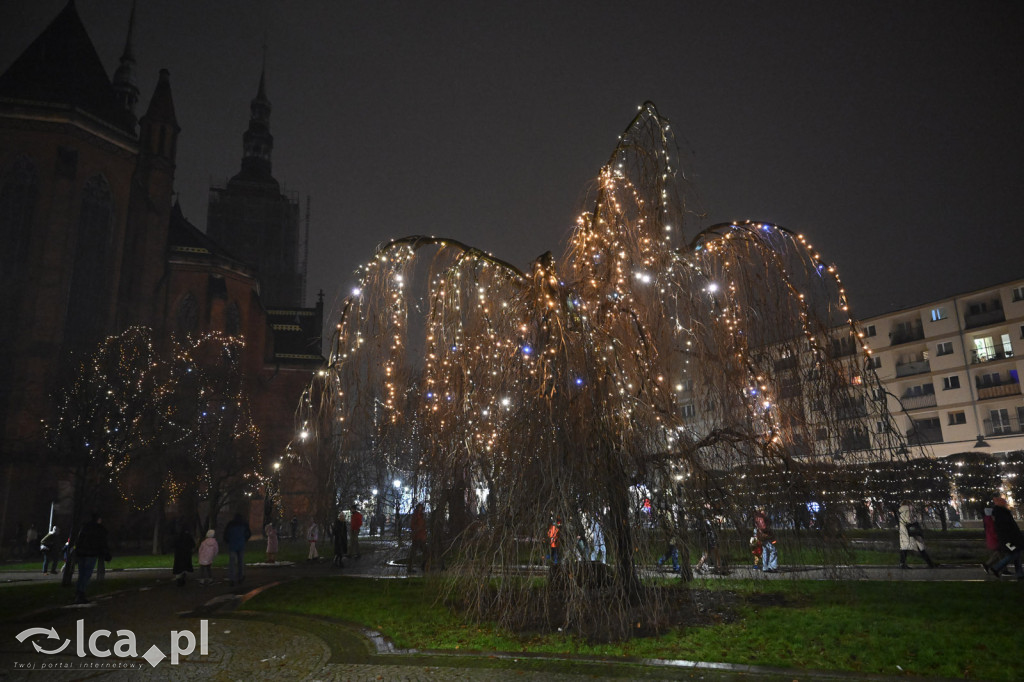 Magia w Legnicy! ✨ Tysiące Świateł Rozbłysło