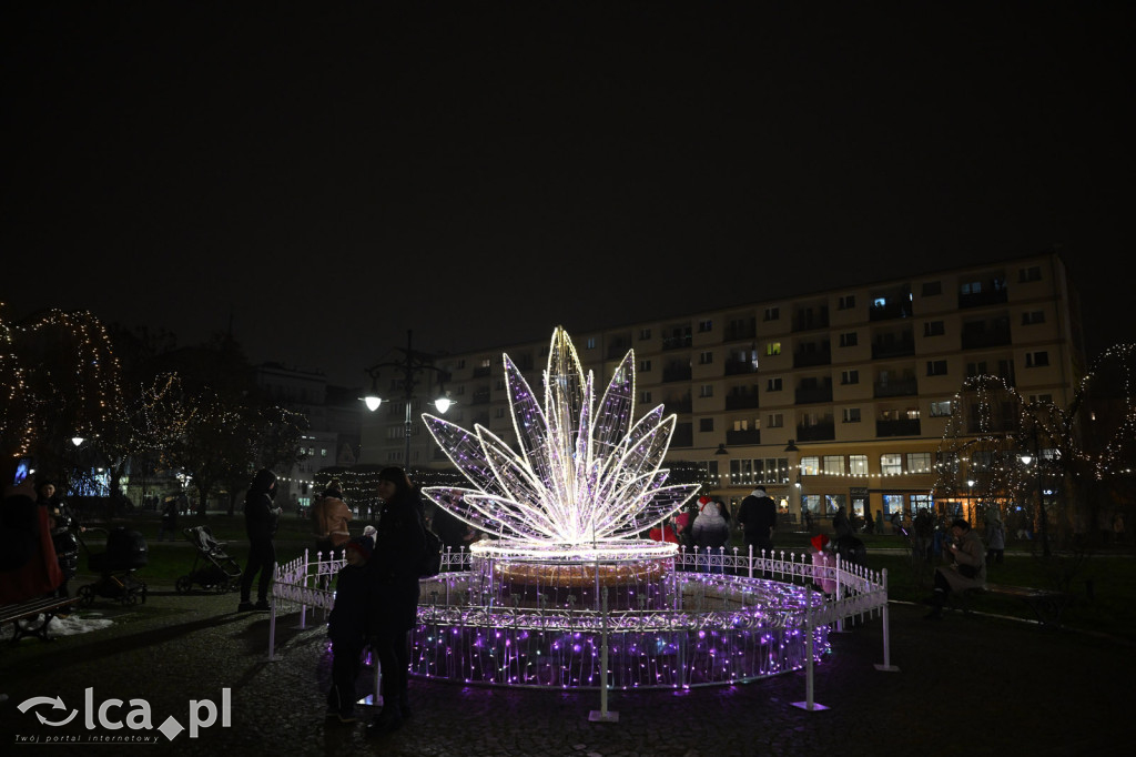 Magia w Legnicy! ✨ Tysiące Świateł Rozbłysło