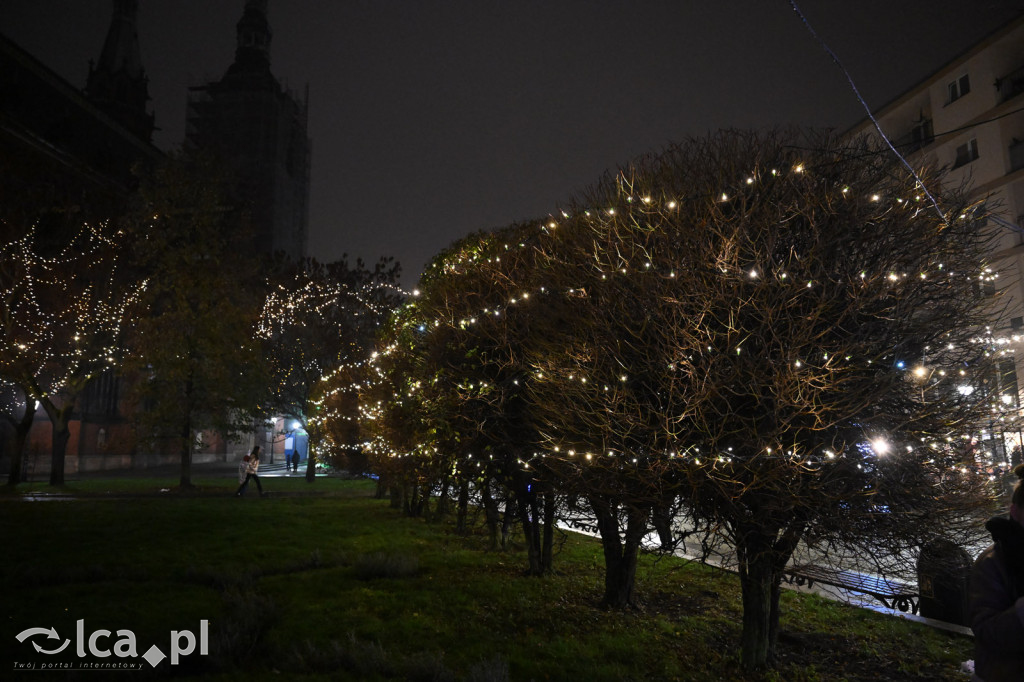 Magia w Legnicy! ✨ Tysiące Świateł Rozbłysło