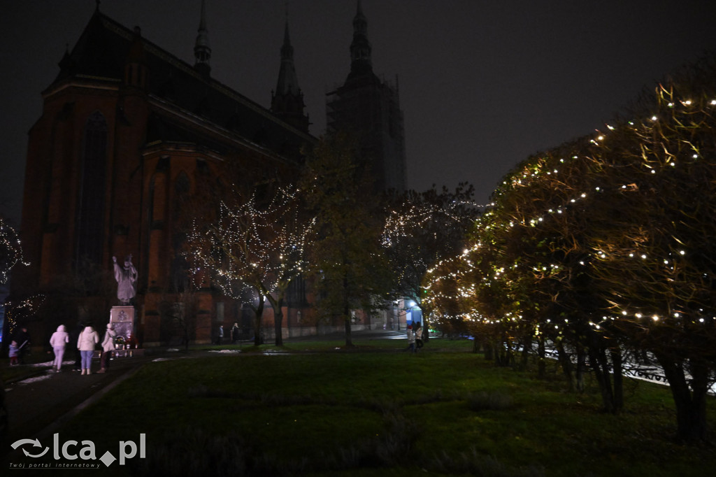 Magia w Legnicy! ✨ Tysiące Świateł Rozbłysło
