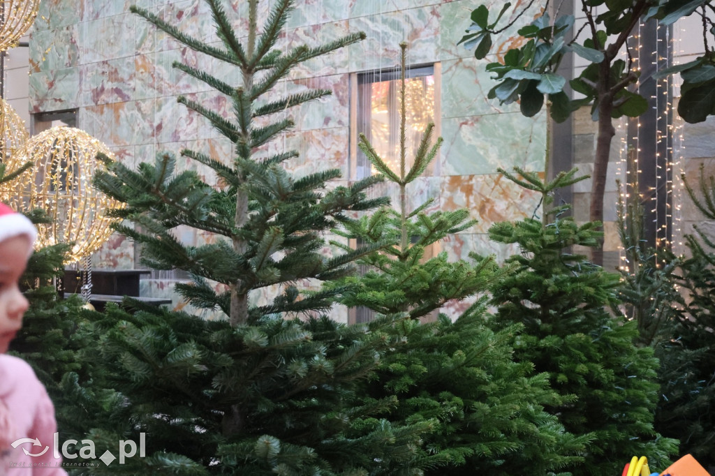 Basia i Mikołaj w Galerii Piastów