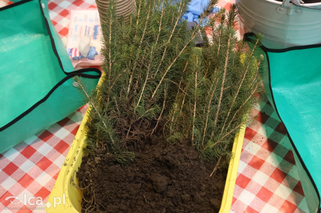 Basia i Mikołaj w Galerii Piastów