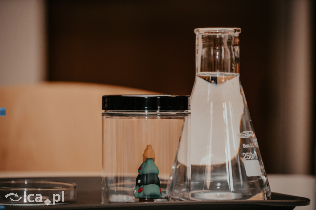 Mikołajki w Centrum Witelona